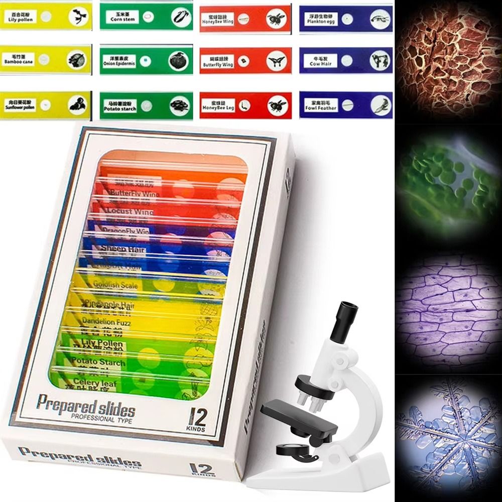 1Pcs 60-120X 포켓 현미경 LED 조명 교육  - Outdoor Lighting Kits 리뷰 및 가격