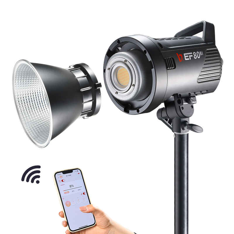 진베이 EF-80Bi 휴대용 LED 비디오 조명 키트  - Outdoor Lighting Kits 리뷰 및 가격