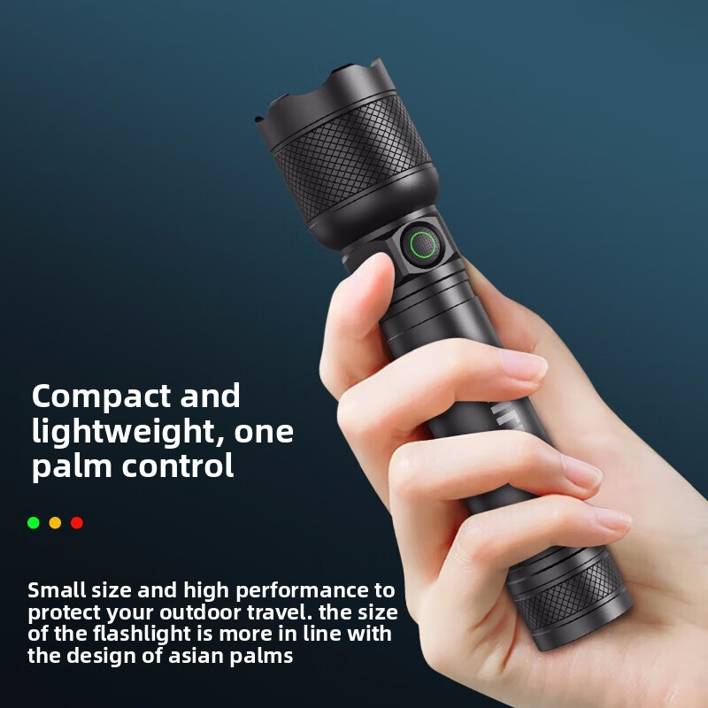 2025 신형 필립스 SFL2188 LED 알루미늄 합 - Outdoor Lighting Setup 리뷰 및 가격